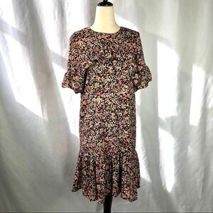 NWT Alison Andrews micro floral dress with flounce